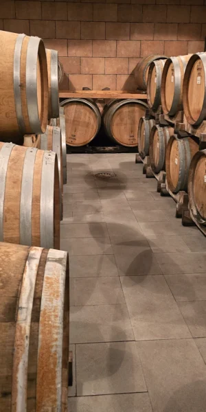 Degustazione in Masseria - immagine 2